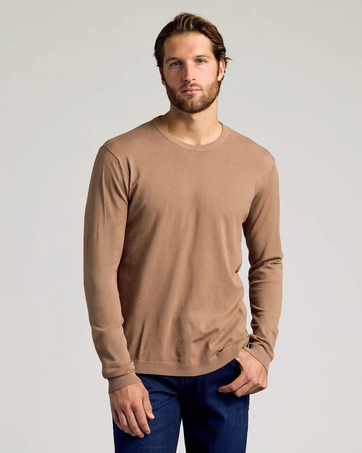 Truffle Dressy Crew Neck Sweater